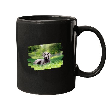 Discover Weimaraner Dog Lover 1 Mugs