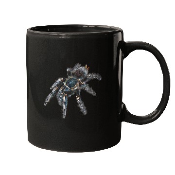 Discover Zebra Tarantula Spider Mugs