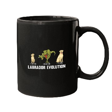 Discover Labrador Evolution for a dog owner Labrador Retriever Mugs