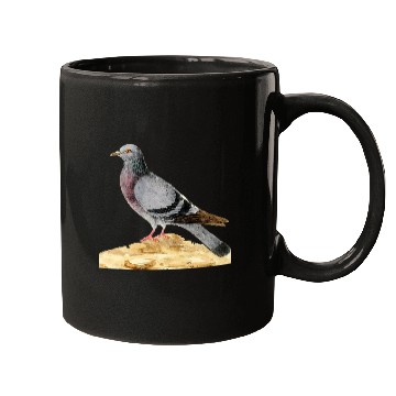 Discover vintages Pigeon Whisperer Trains racing or fancy pigeons Mugs