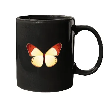 Discover Orange tip Mugs