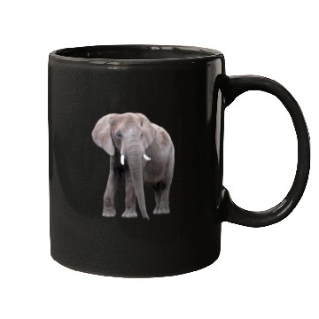 Discover Elephant Mugs