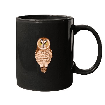 Discover Owl Mugs