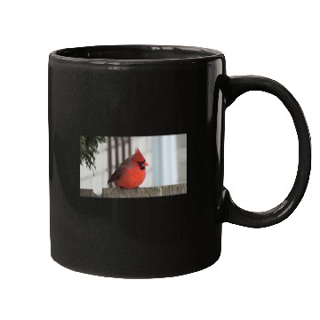Discover Brilliant Cardinal Bird 2 Mugs