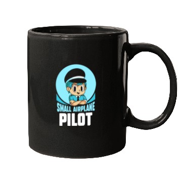 Discover Small Airplane Pilot Aircraft Private Mugs