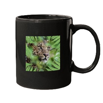 Discover forest tiger Mugs
