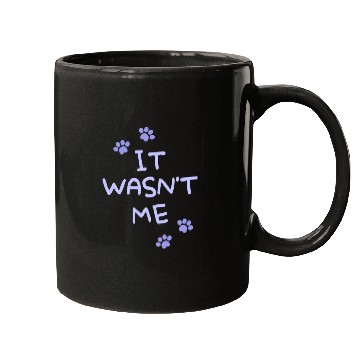 Discover It Wasn't Me Mugs