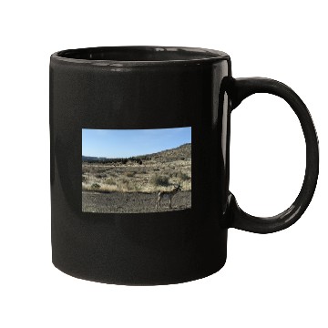 Discover Antelope near Grand Canyon West Mugs