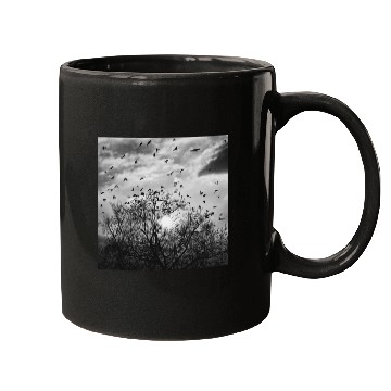 Discover Bird's flight at sunset Mugs
