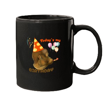 Discover today is my birtday funny monkey Mugs