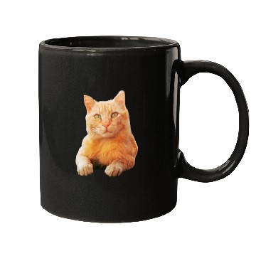 Discover Orange Cat Mugs
