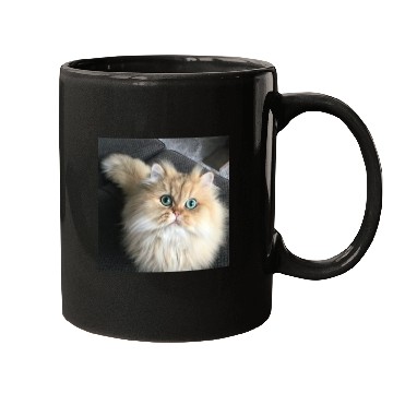 Discover Cat lover Mugs