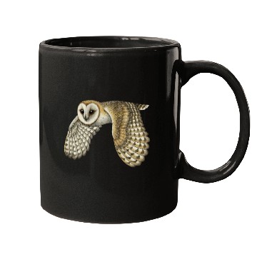 Discover Barn Owl Mugs