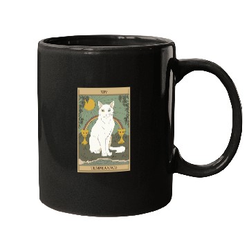 Discover Cat rainbow Mugs