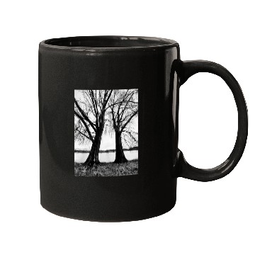 Discover 20230127 090054 2 Mugs