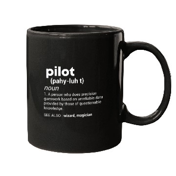 Discover Pilot Definition Airplane Jet Aviation Mugs