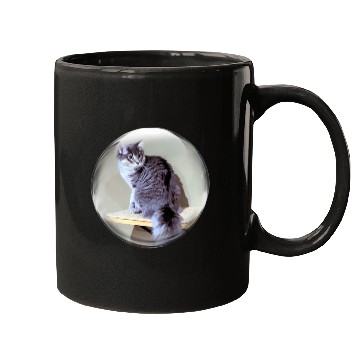 Discover Life In a Bubble Collection-Kitty on the Shelf Mugs