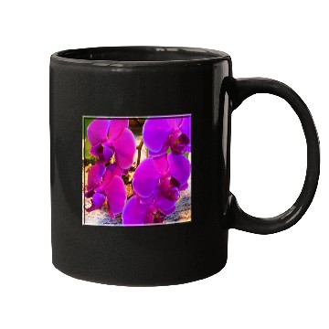 Discover Orchid 4 Mugs