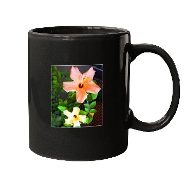 Discover Hibiscus 4 Mugs