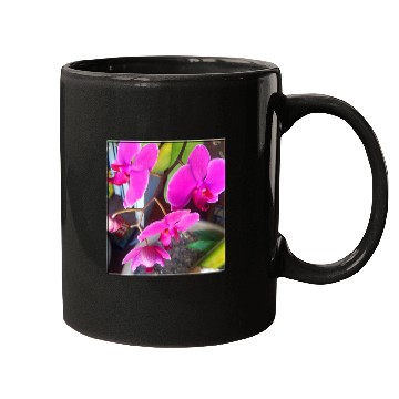 Discover Orchid 1 Mugs