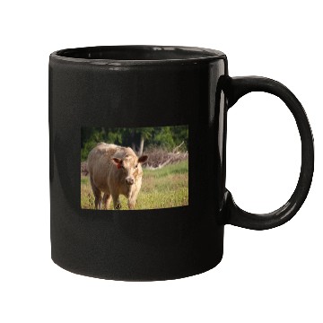 Discover Cow Mugs