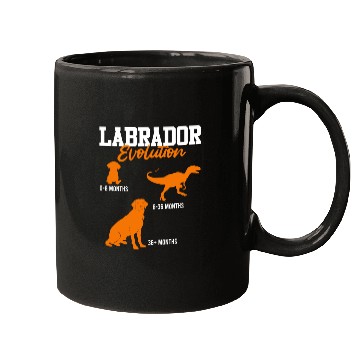Discover Labrador EVOLUTION Labrador Lover Labrador Mugs