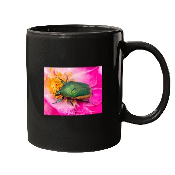 Discover Green Figeater Beetle On Pink Flower Mugs