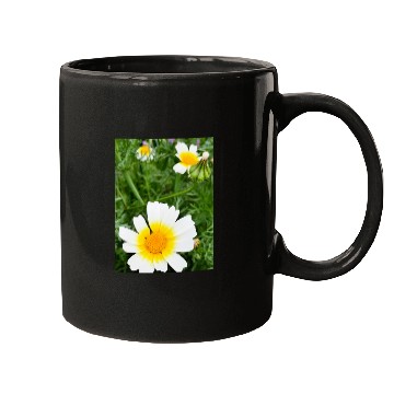Discover Summer Bloom Mugs