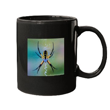 Discover Garden Spider Mugs
