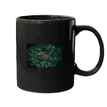 Discover Moss covered tree Mugs