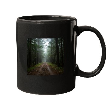 Discover Serene Forest Path Scenic Mugs