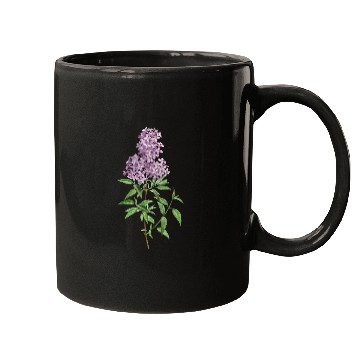 Discover Lavender Bloom Botanical Illustration Mugs