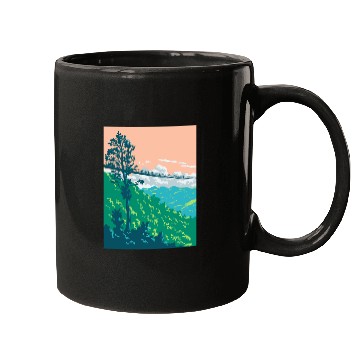 Discover Great Smoky Mountains National Park in Gatlinburg  Mugs