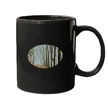 Discover Forest - Nature - Park - Trees - Rural - Dirt Road Mugs