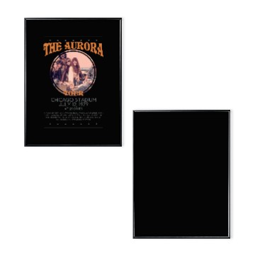 Discover Daisy Jones & The Six Double-sided Poster Set
