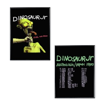 Discover Dinosaur Jr Poster Set