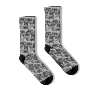 Discover Bobs Burgers in Ruins Socks