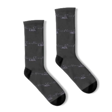 Discover Eras Tour USA Socks