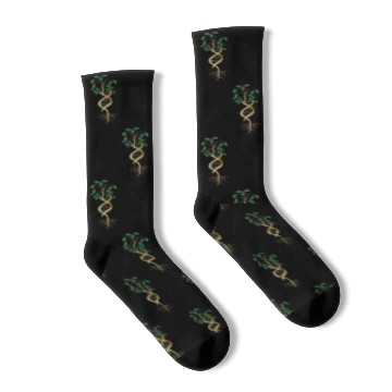Discover DNA Tree Life Earth Genetics Biology Science Socks