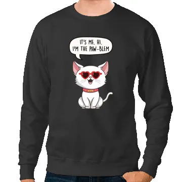 Discover Anti-hero Taylorr Swift Cat Sweatshirts