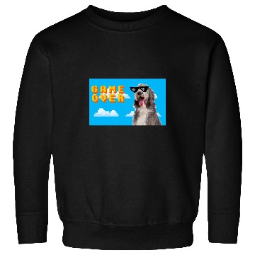 Discover 8Bit Game Over Bearded Collie 2 Sweatshirts