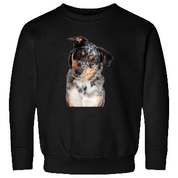 Discover Australian Shepherd 3 Sweatshirts