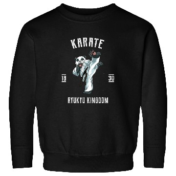 Discover Karate Japanese Martial Arts Fighting MMA 3 Sweatshirts