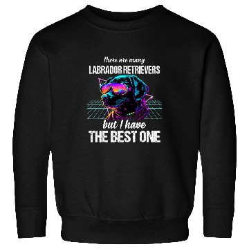 Discover Labrador Lab Dog Labrador Retrievers Sweatshirts