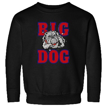 Discover Big Dog Colorful Comic Dog Illustration Novelty Art Design Sweatshirts