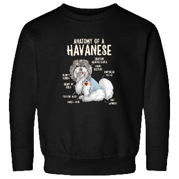 Discover Dog Havanese Anatomy of A Havanese Dog Owner Puppy Funny Cute 3 Sweatshirts