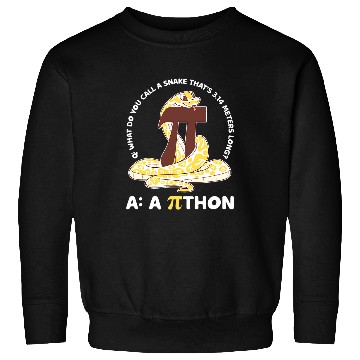 Discover Python Pithon Pi Day Math Teacher Sweatshirts
