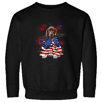 Discover Dog German Shorthaired Pointer Dog American USA Flag 4th of July Sweatshirts