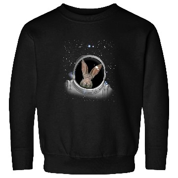 Discover Rabbits Astronaut Space Astronomy Astronaut Rabbit Sweatshirts