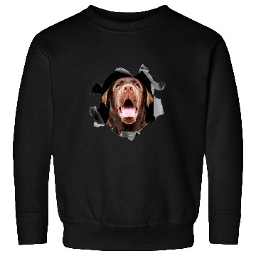 Discover Labrador Lab Dog Brown labrador retriever portrait Sweatshirts